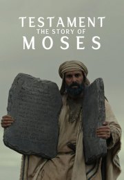 Ahit Musanın Hikayesi